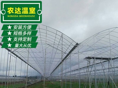 温室连栋大棚锯齿型 遮阳连体大棚塑料薄膜 简易农用蔬菜连栋大棚图4