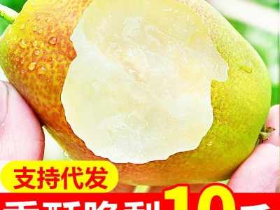 山西红香酥梨七月半边红梨应季新鲜水果当季整箱现摘梨子库尔勒梨图5