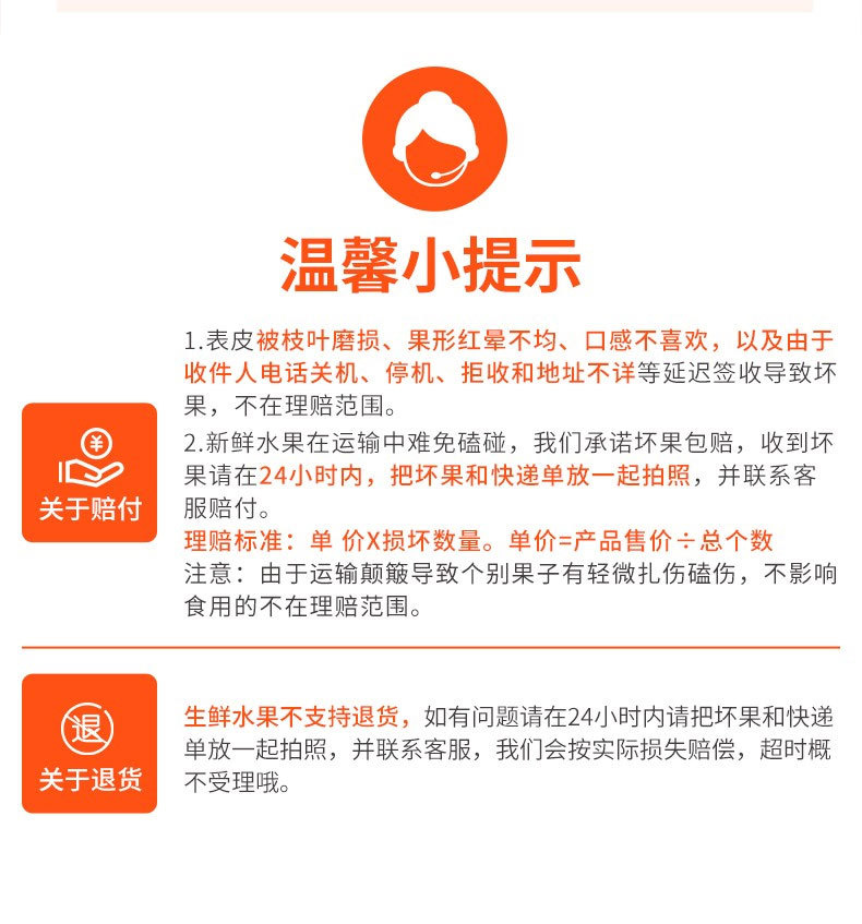 红香酥梨_10