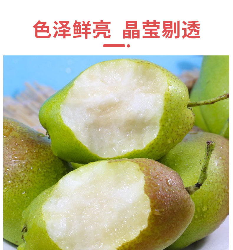 红香酥梨_04