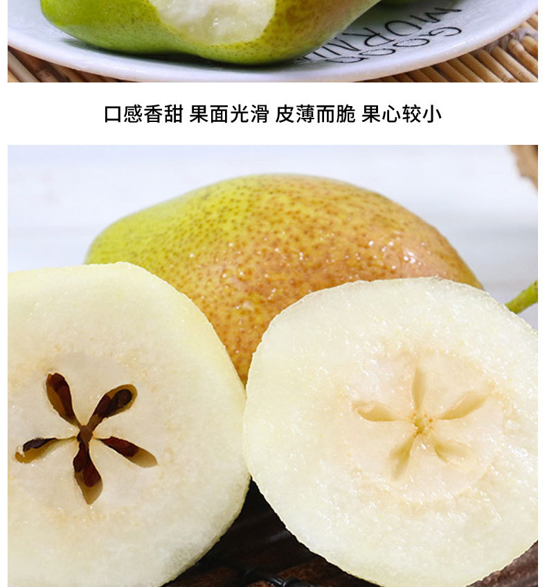 红香酥梨_05