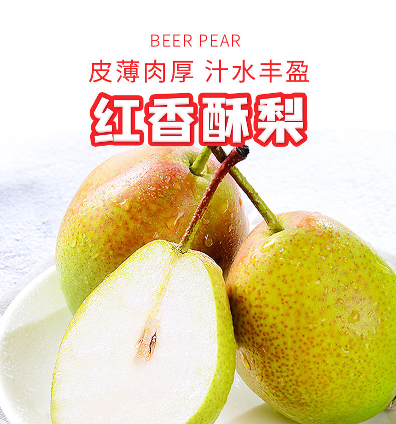 红香酥梨_01