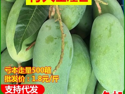 活动价特大广西金煌芒新鲜应季水果批发芒果10斤代发现摘热带水果图5