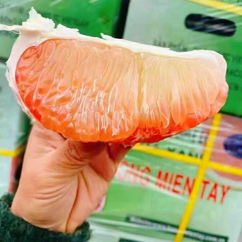微信图片_202107071645425.jpg