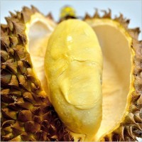 泰国金枕头榴莲一件代发 热带水果进口榴莲新鲜水果带壳整个