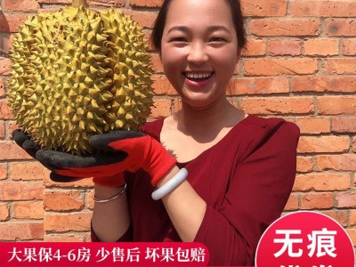 泰国金枕头榴莲一件代发 热带水果进口榴莲新鲜水果带壳整个图5