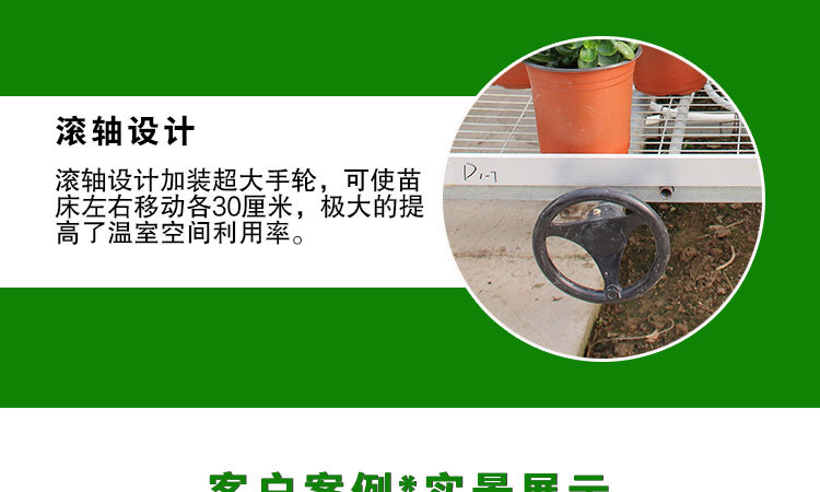 网片式移动苗床（晨超）_12