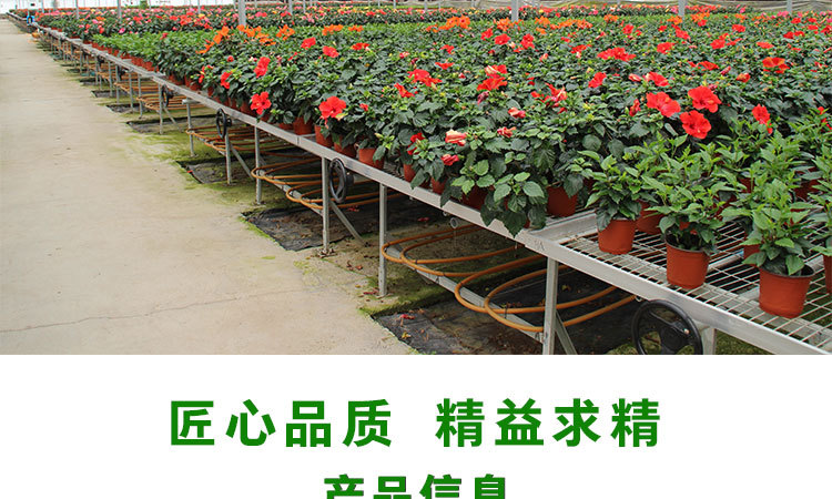 网片式移动苗床（晨超）_02