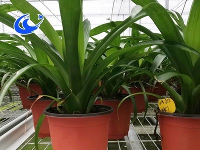 移动苗床网网格为130㎜×30㎜（长×宽），热镀锌材料图3