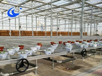移动苗床网网格为130㎜×30㎜（长×宽），热镀锌材料图4