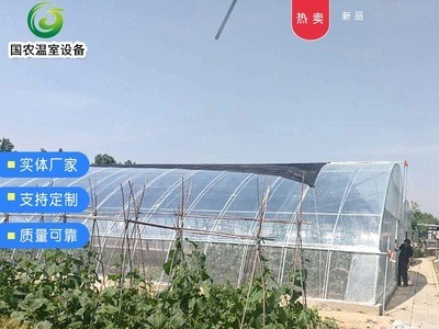 春秋棚温室 供应蔬菜种植温室大棚 定制智能养殖种植温室大棚图2