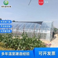 春秋棚温室 供应蔬菜种植温室大棚 定制智能养殖种植温室大棚
