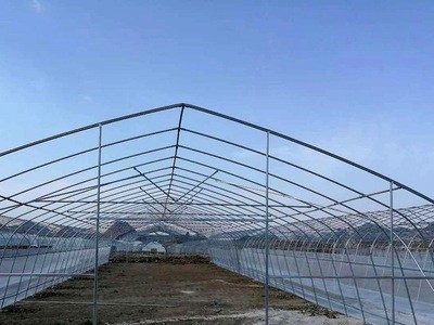 春秋棚温室 供应蔬菜种植温室大棚 定制智能养殖种植温室大棚图5