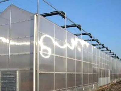 阳光板温室 智能温室 智能阳光板温室 温室建设阳光板 质量可靠图2