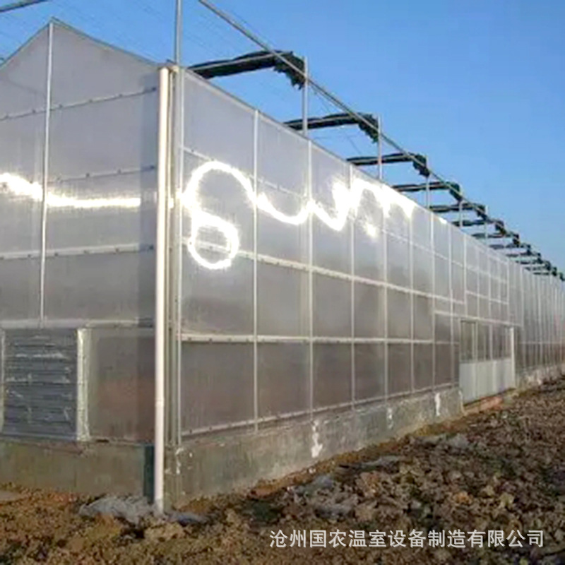 阳光板温室2.jpg