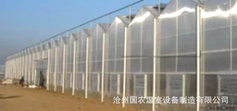 阳光板温室1.jpg