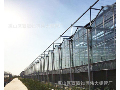 厂家供应大棚 养殖生态育苗玻璃大棚镀锌玻大棚批发图5