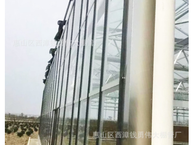 厂家供应大棚 养殖生态育苗玻璃大棚镀锌玻大棚批发图4