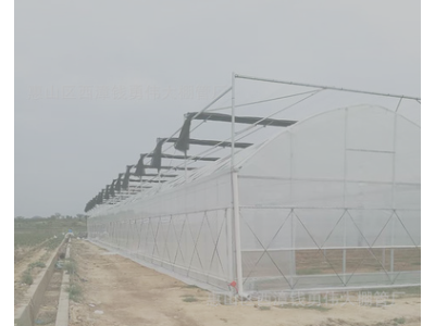 无锡连栋大棚批发 蔬菜连体保温棚 外遮阳内遮阴连栋养殖大棚定制图5