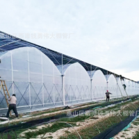无锡连栋大棚批发 蔬菜连体保温棚 外遮阳内遮阴连栋养殖大棚定制