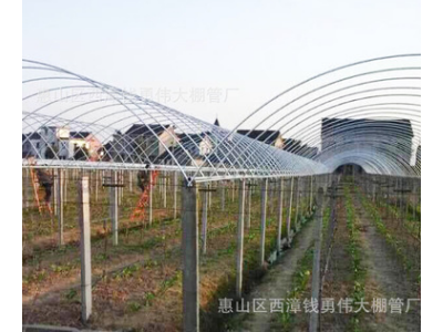 大棚骨架定制 农业玻璃温室大棚骨架蔬菜多肉葡萄 大棚骨架配件图5