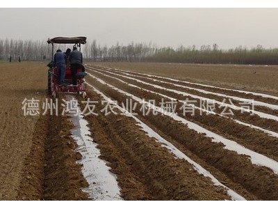 厂家直销大垄双行土豆播种机马铃薯播种机土豆种植机洋芋种植机图2