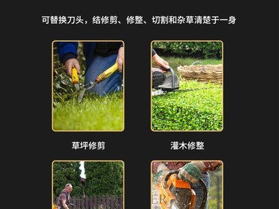 小型背负式家用园林四合一割草机打草机割灌机园林工具定制批发图3