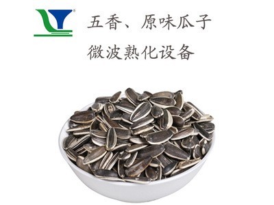 花生米微波烘烤熟化设备 瓜子微波烘烤机 干果杀菌干燥机图5