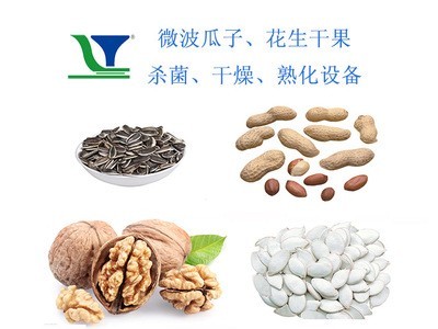花生米微波烘烤熟化设备 瓜子微波烘烤机 干果杀菌干燥机图2