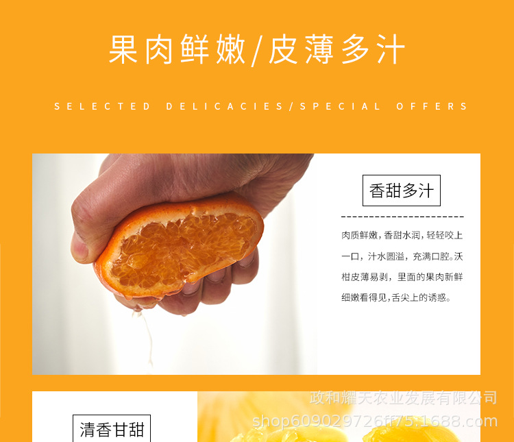 柑子详情_05.jpg