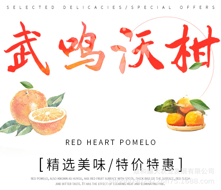 柑子详情_01.jpg