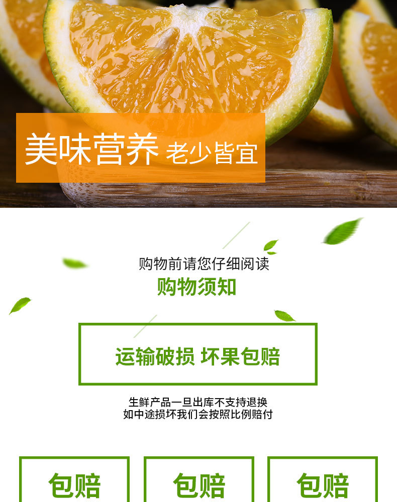 宜橙绿皮夏橙_11.jpg