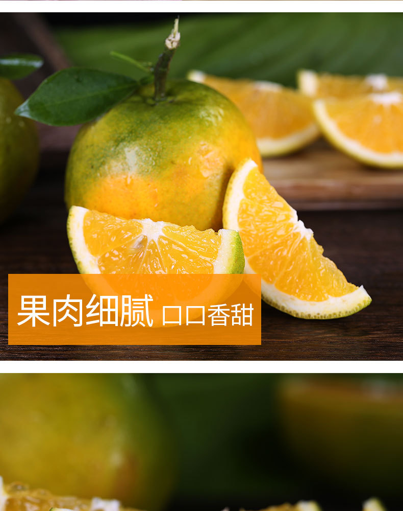 宜橙绿皮夏橙_10.jpg
