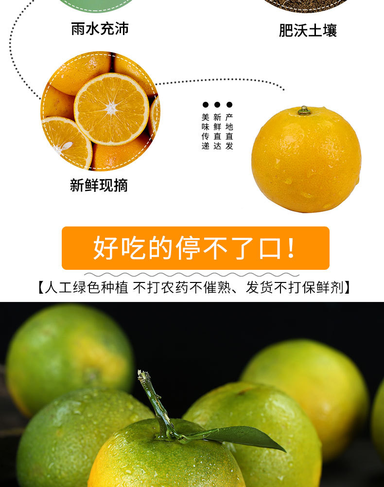 宜橙绿皮夏橙_08.jpg