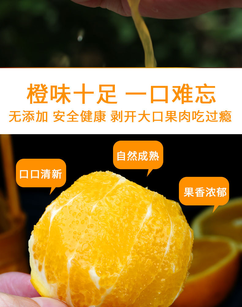 宜橙绿皮夏橙_05.jpg