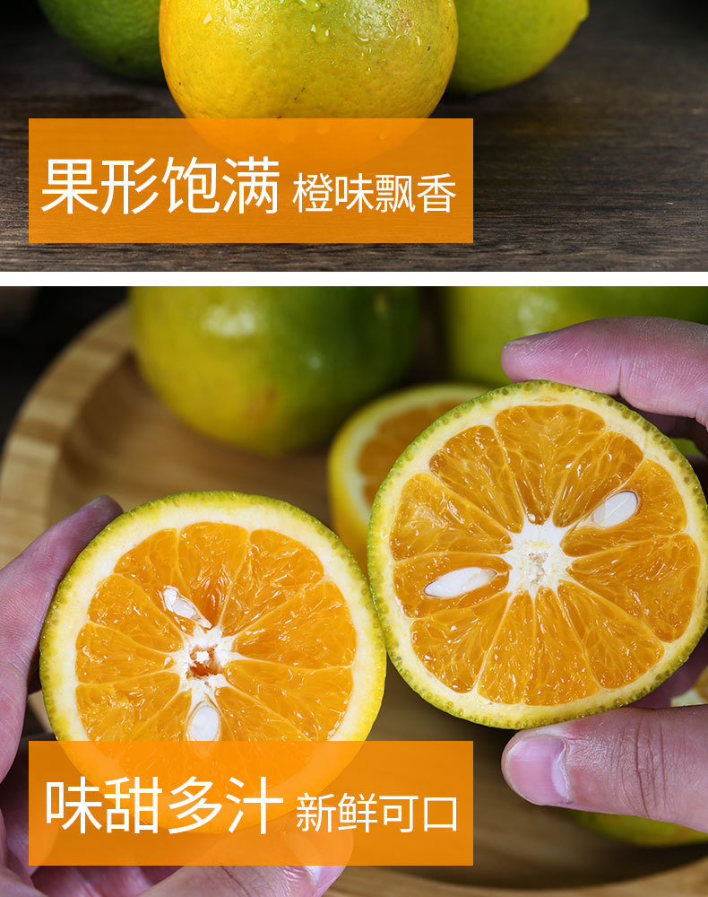 宜橙绿皮夏橙_09.jpg