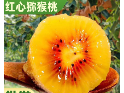 现货当季红心猕猴桃四川蒲江果园直发批发非黄绿奇异果弥新鲜水果图3