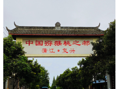 现货当季红心猕猴桃四川蒲江果园直发批发非黄绿奇异果弥新鲜水果图4