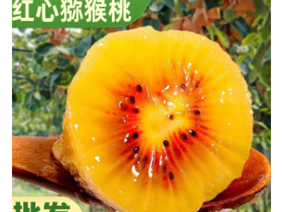 现货当季红心猕猴桃四川蒲江果园直发批发非黄绿奇异果弥新鲜水果图5