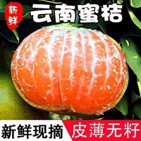 云南蜜橘9斤青皮蜜桔新鲜当季孕妇水果整箱桔子青橘柑橘一件代发