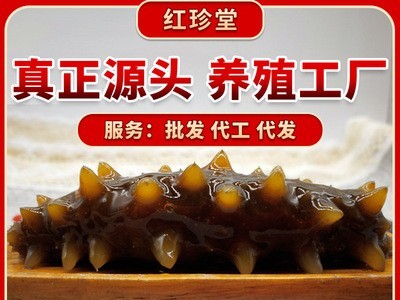 大连特产海产品即食海参辽参源头工厂大连即食海参批发500g图3