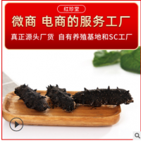 淡干海参批发水产干货特产海参干货非海参礼盒