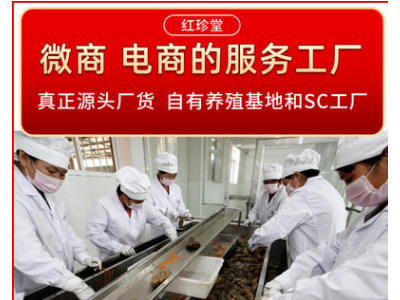 淡干海参批发水产干货特产海参干货非海参礼盒图5