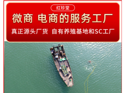 淡干海参批发水产干货特产海参干货非海参礼盒图2