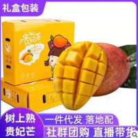 海南三亚树上熟贵妃芒新鲜应季水果香甜多汁5斤／8斤芒果产地批发