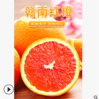 赣南红橙新鲜水果现摘现发10斤甜橙赣州橙子源头直供