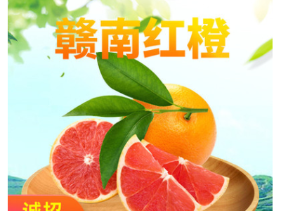 赣南红橙新鲜水果现摘现发10斤甜橙赣州橙子源头直供图2