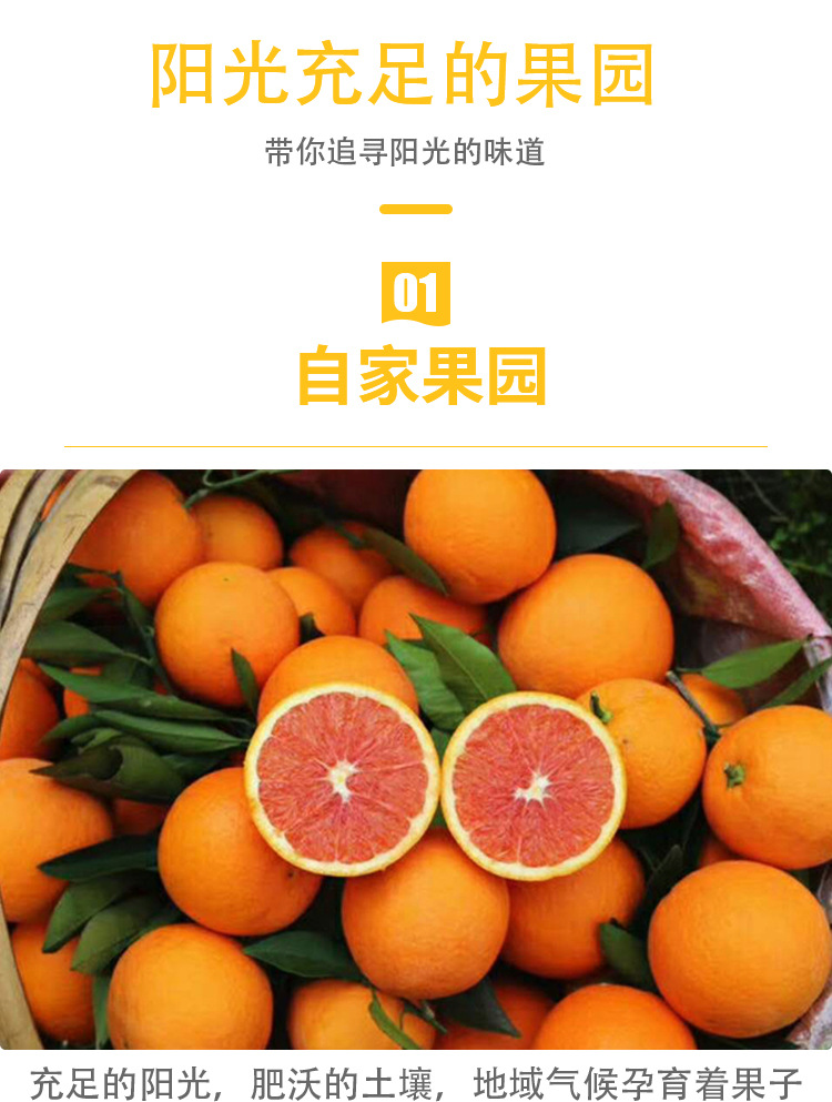 红橙_09.jpg
