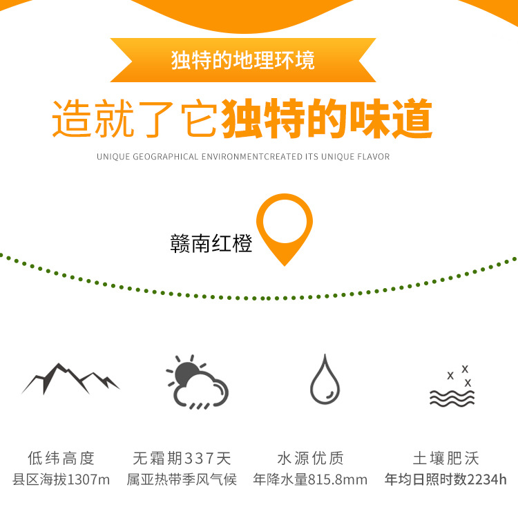 红橙_08.jpg