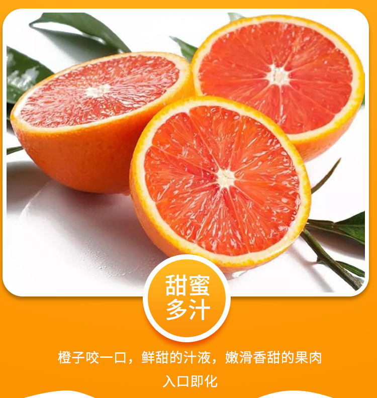 红橙_07.jpg